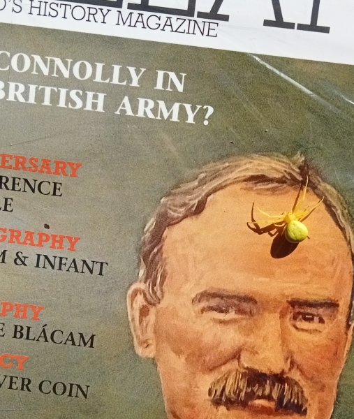 The Bluestocking Women's Pub, where brains can exist in a single state