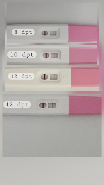 IVF/ICSI May 2025
