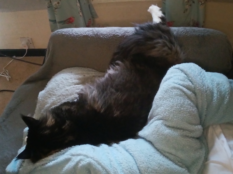 The Great Recovery part 4