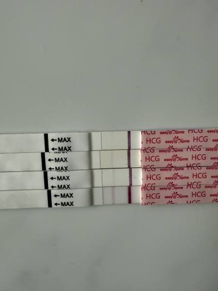 May 2025 TTC Support Group