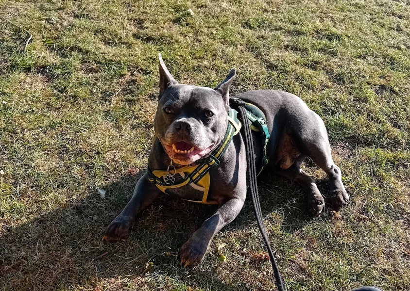 The support thread for anyone trying to live an alcohol free life. Spring 2025.