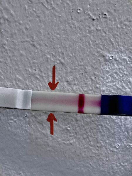 May 2025 TTC Support Group