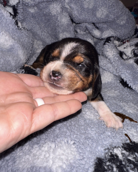 Help me name this little lady?