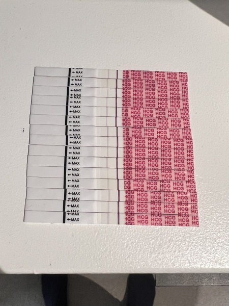 Lines not progressing 5 weeks in