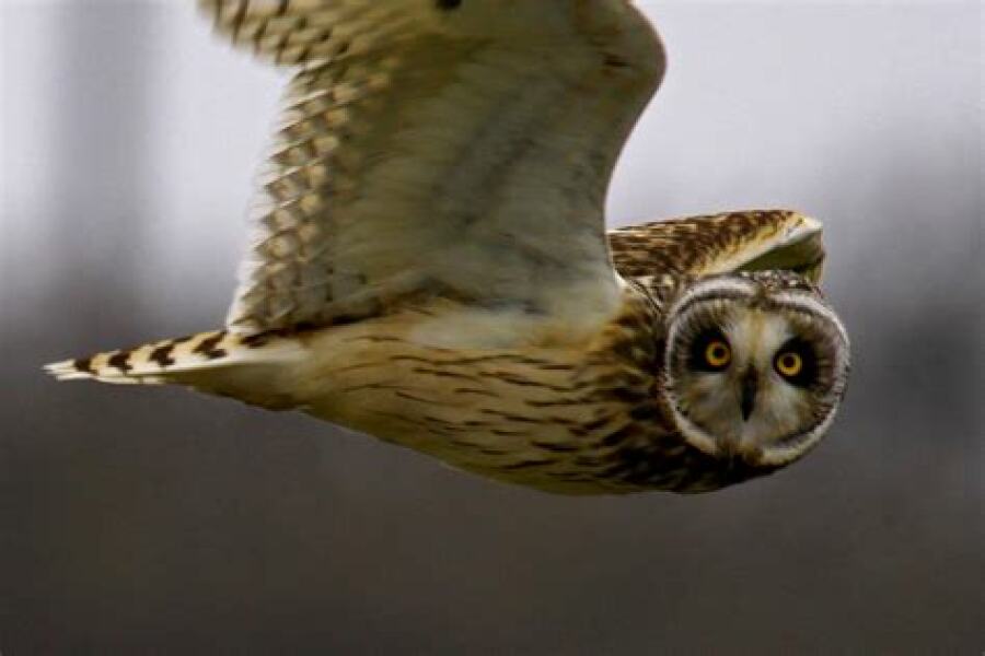 The Bluestocking Women's Pub, where brains can exist in a single state