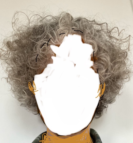 Hair cut advice needed