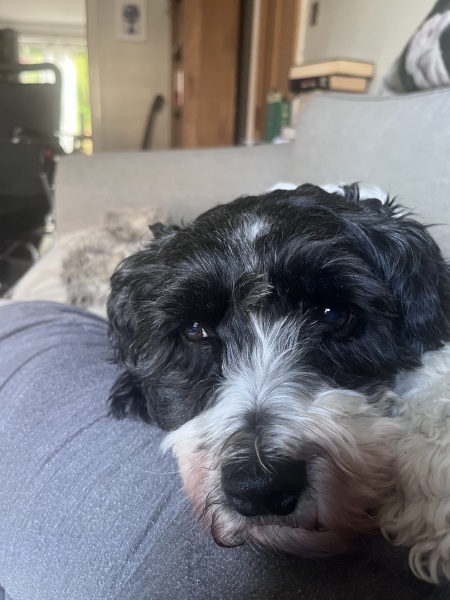 What are you up to today if you have chronic illness?