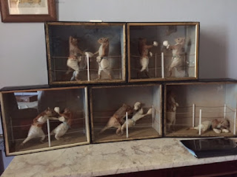 The Bluestocking Women's Pub, where brains can exist in a single state