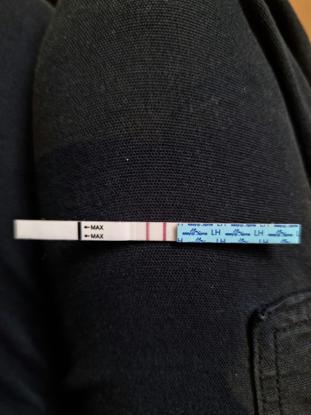 How to read these opks?