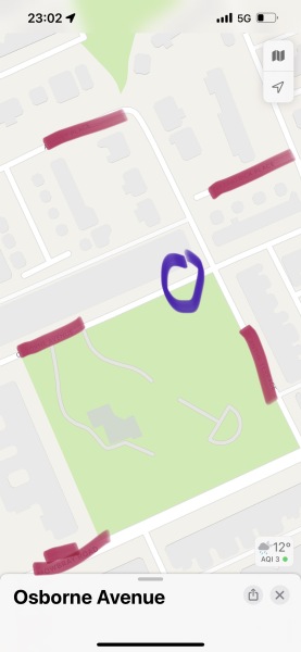 DS damaged a car but owner grabbed him