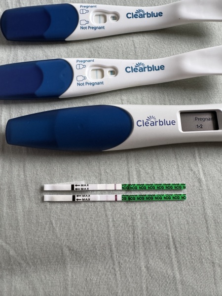 Pregnant after missed miscarriage? Help?