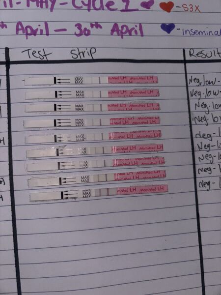 Ttc, ovulation tests