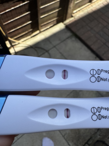 Due February 2026 ✨
