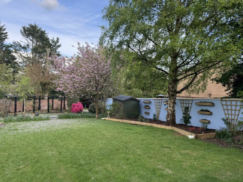 What's your favourite thing in your garden?