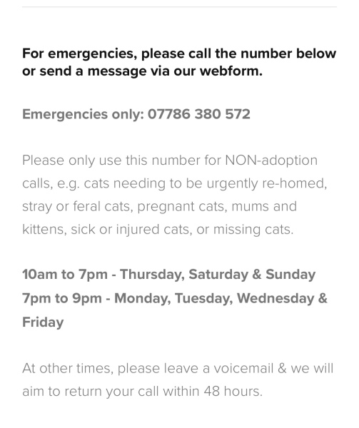 Owner died cat alone