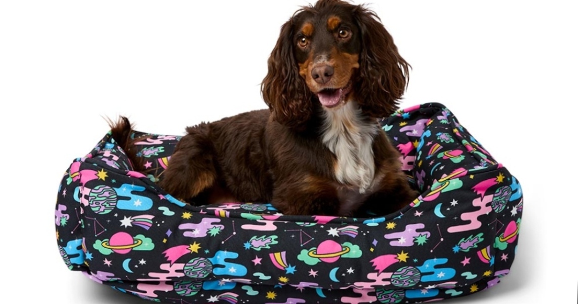 Dog bed