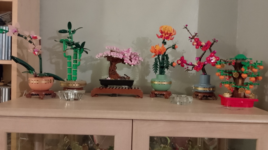 To show me your Lego collection?