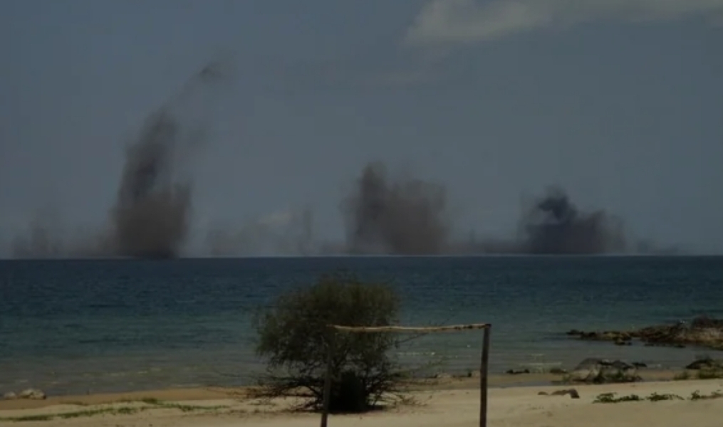 How to get rid of gnats outside