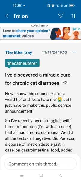 Permanent diarrhoea in DCat- please help