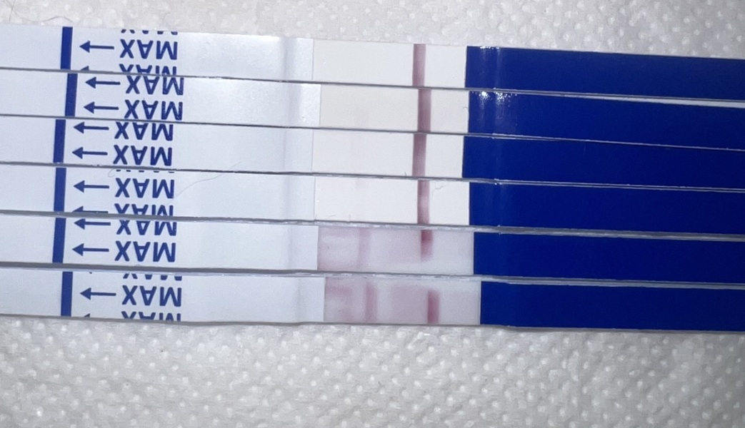 Line eyes please 👀