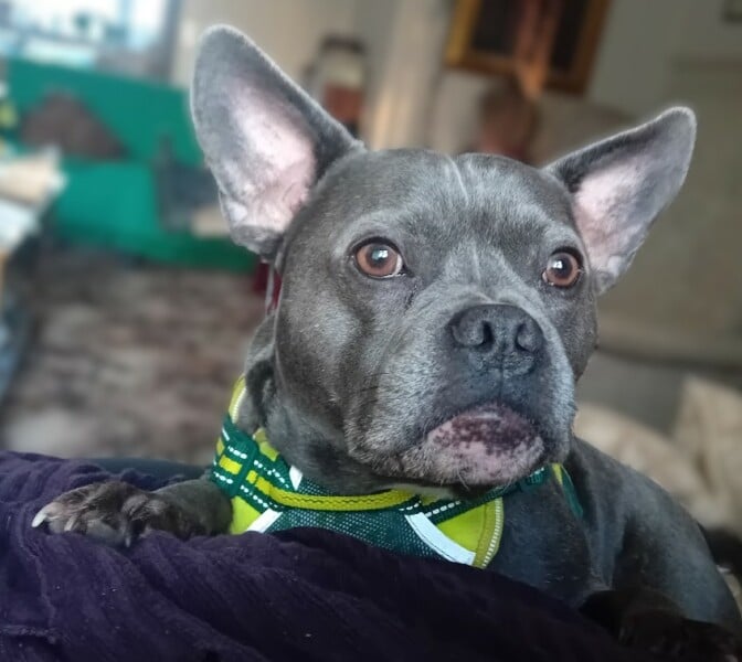 The support thread for anyone trying to live an alcohol free life. Spring 2025.