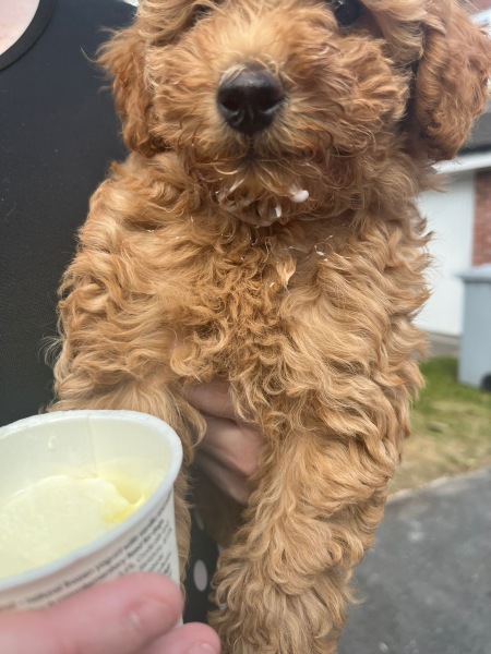 Bonnie is home!