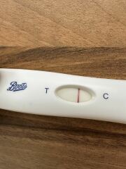 8DPO Squinter…