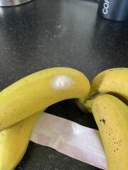 Erm…what is this?
