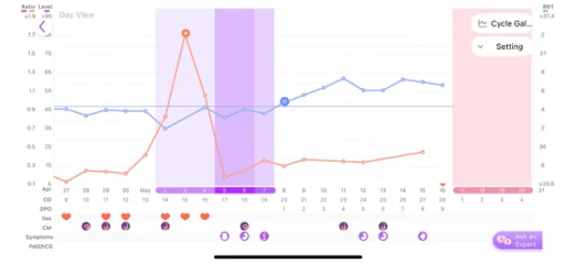 HELP? Any bbt specialists out there? TTC cycle #3 after chemical