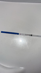 Ovulation