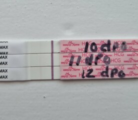 In the dreaded 2 week wait