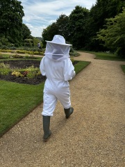 Come and tell us your dull and unexciting news 33: Calmly through the day