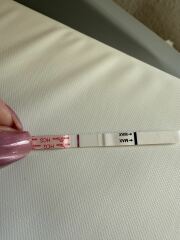 May 2025 TTC Support Group