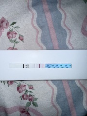 June 2025 TTC Support Thread