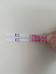 Are these indent lines?