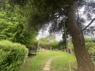 How to hang a swing between two trees?