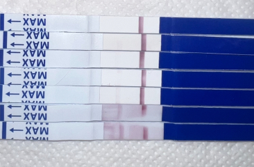 Help please 🥺 testing