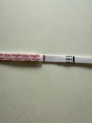 Ttc tww may 2025 after chemical