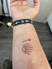 Thread 24 Starmer -Casting the net wider