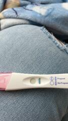 Clear blue test. Evap line or positive