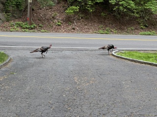 Come and tell us your dull and unexciting news 33: Calmly through the day