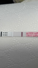 3DPO, Two week wait..