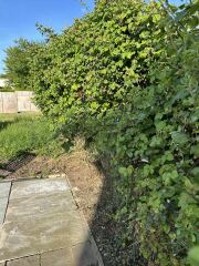 Can we legally cut wire fencing to reinstate boundary?