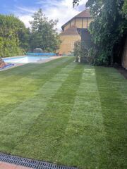 Stepping stones/path advice