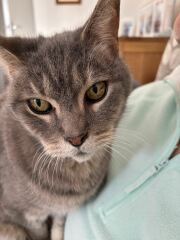 Happy 14th Birthday Mithril!