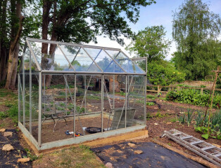 What have you done in the garden today? Part 6