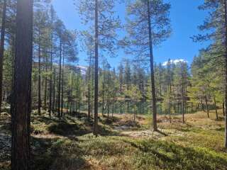 Year round Nigel Slater discussion thread Part 2