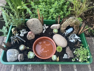 What have you done in the garden today? Part 7