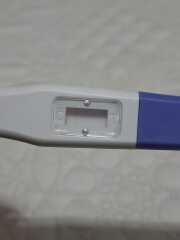 Pregnancy