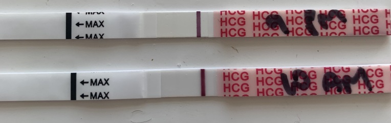 Help! Are these indent lines?